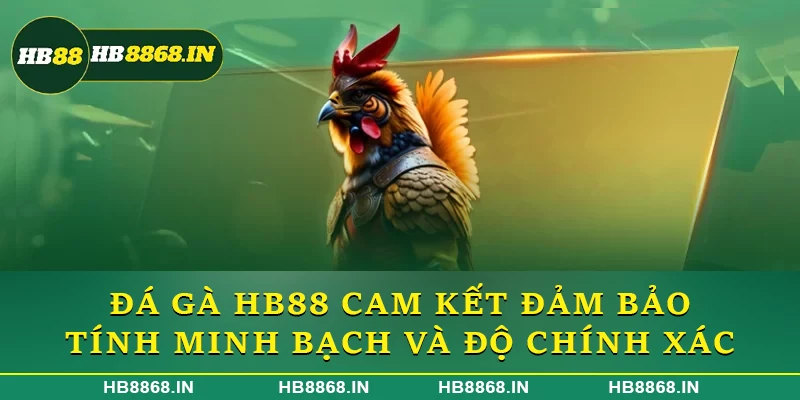 Đá gà HB88 cam kết đảm bảo tính minh bạch và độ chính xác