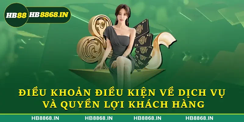 Điều khoản điều kiện về dịch vụ và quyền lợi khách hàng