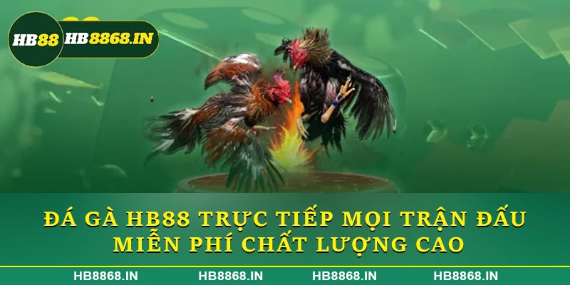 Đá gà HB88 trực tiếp mọi trận đấu miễn phí nhanh chóng, chất lượng cao